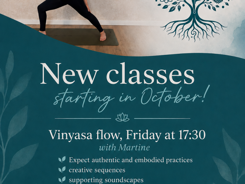 Vinyasa Flow @ Haags Yogacentrum