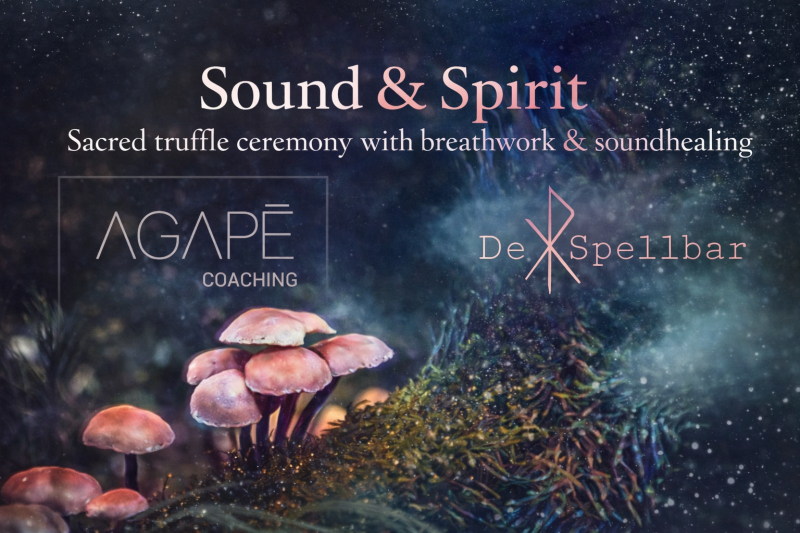 Sound & spirit Truffel ceremonie  - Plantmedicijn, Truffel Ceremonie, Innerlijke Reis