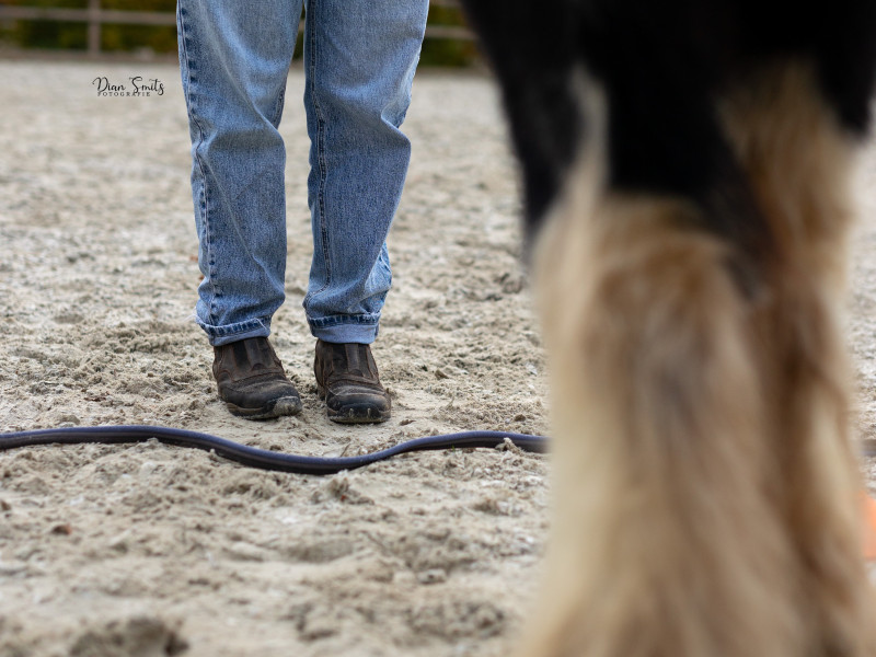 Date night met je overtuigingen - Paarden, Vrouwencirkels, Persoonlijke Ontwikkeling