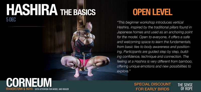 Shibari Hashira - The Basics Hashira Workshop - Open Level