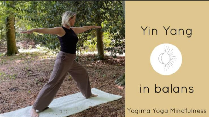 Yin Yoga de kracht uit zachtheid