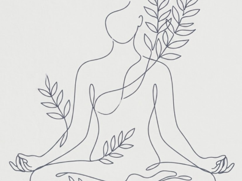 The Meditative Explorer: An 8-Week Journey Through Stillness & Motion