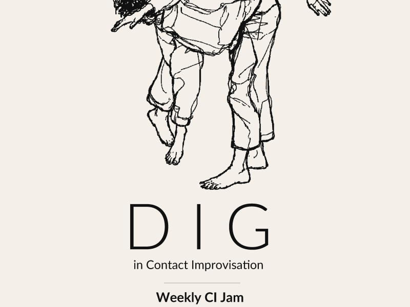 Contact Improvisation Delft