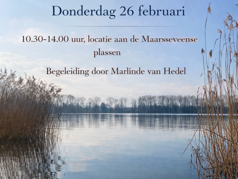 Ondernemersopstellingen