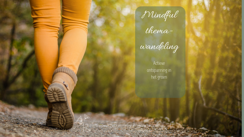 Mindful themawandeling - Winter Verstilling