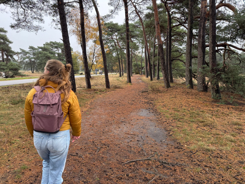 Themawandeling: Grenzen