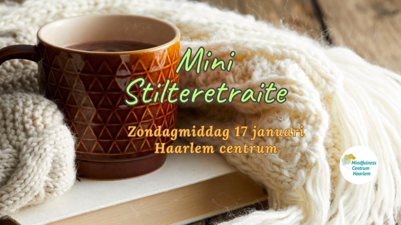 Mini-Stilteretraite, Haarlem, zondag 17 januari 2027