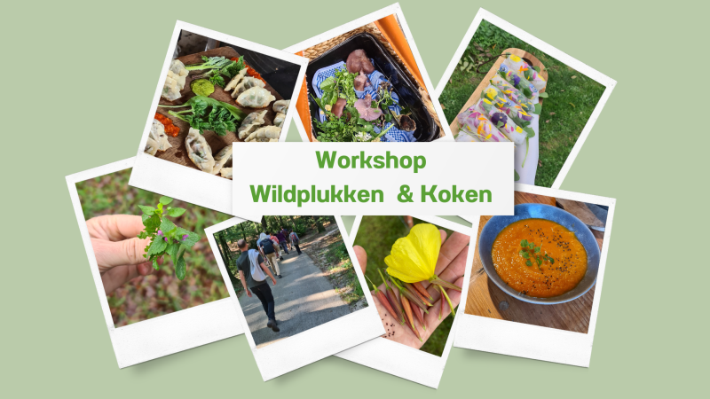 Workshop Wildplukken en Koken