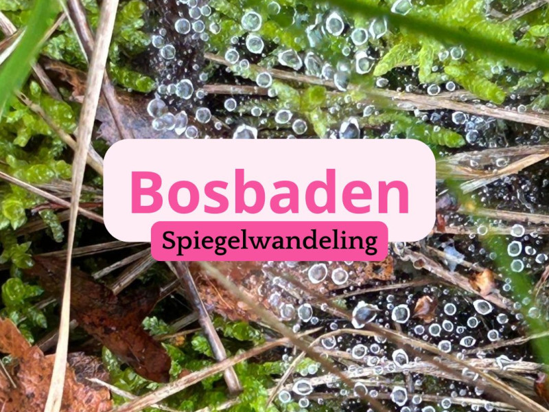 Bosbaden