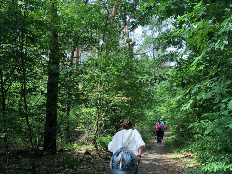 Stilte wandeling met bosbaden - Forest Bathing - Shinrin Yoku