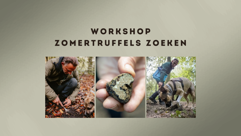Workshop Zomertruffels zoeken