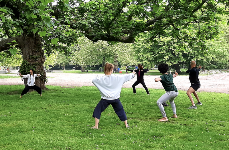 Qigong in Westerpark – 4-Week Course of Eight Brocades - Qi Gong, Santé, Travail énergétique