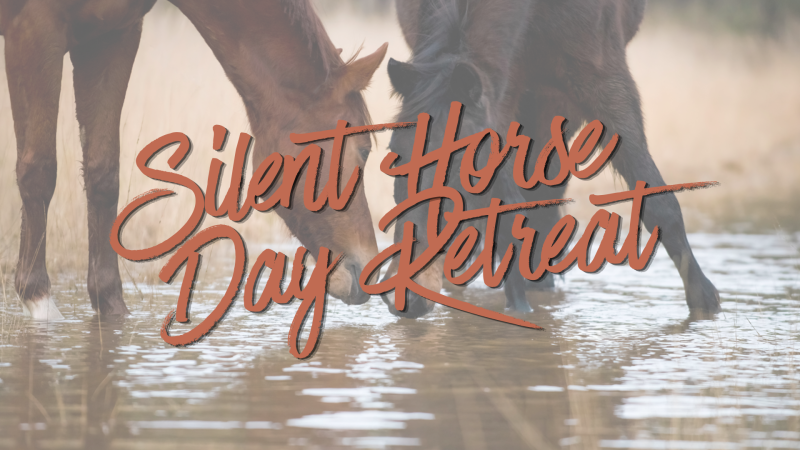 Silent Horse Day Retreat