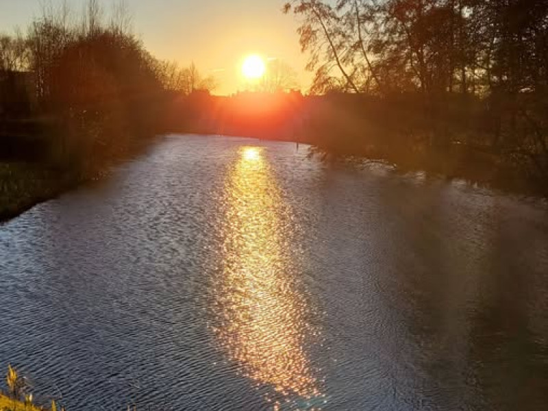 Kortdurend traject wandelcoaching - 4 sessies