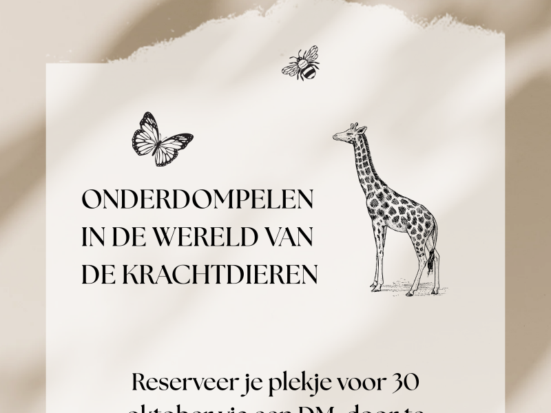 Onderdompelen in de wereld van de Krachtdieren