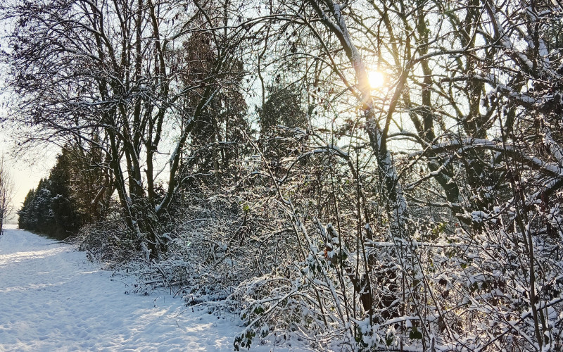 Fluisteringen van de Natuur