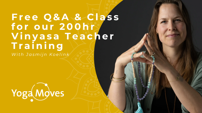 Free Vinyasa Training Q&A & Class @Studio One