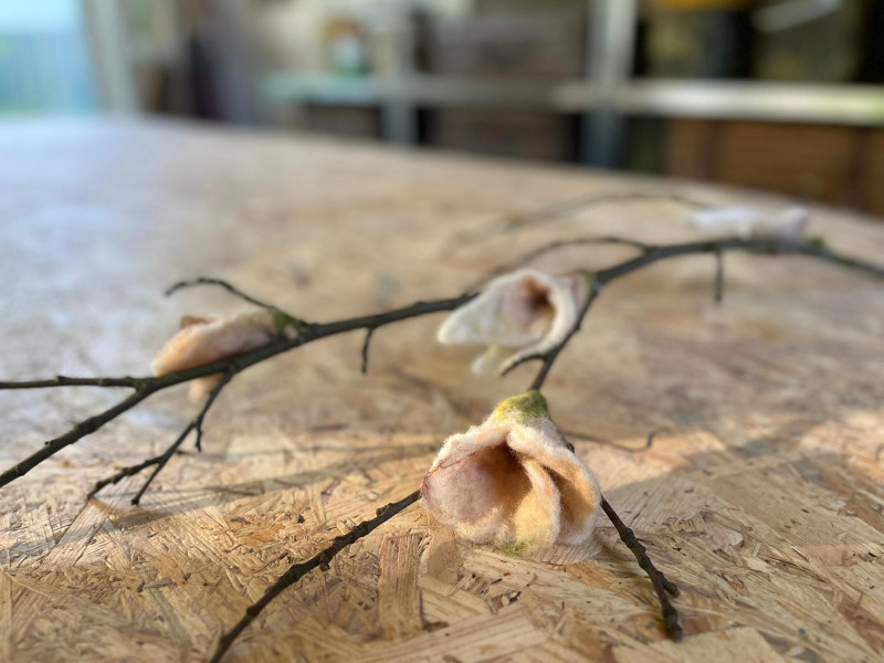Intentie in vilt - workshop op aanvraag-