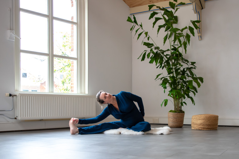 Chandra Flow, Meditatie en Satsang