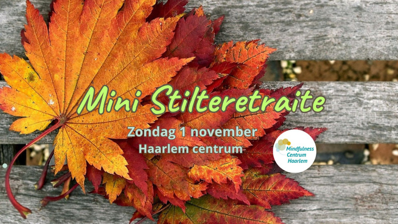 Mini-Stilteretraite, Haarlem, zondag 1 november 2026