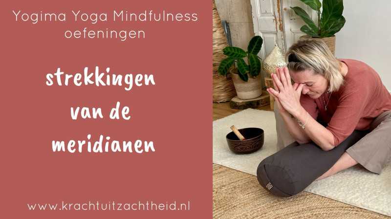 Yin Yoga de kracht uit zachtheid