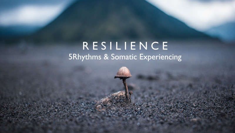 Resilience (5Rhythms & Somatic Experiencing)