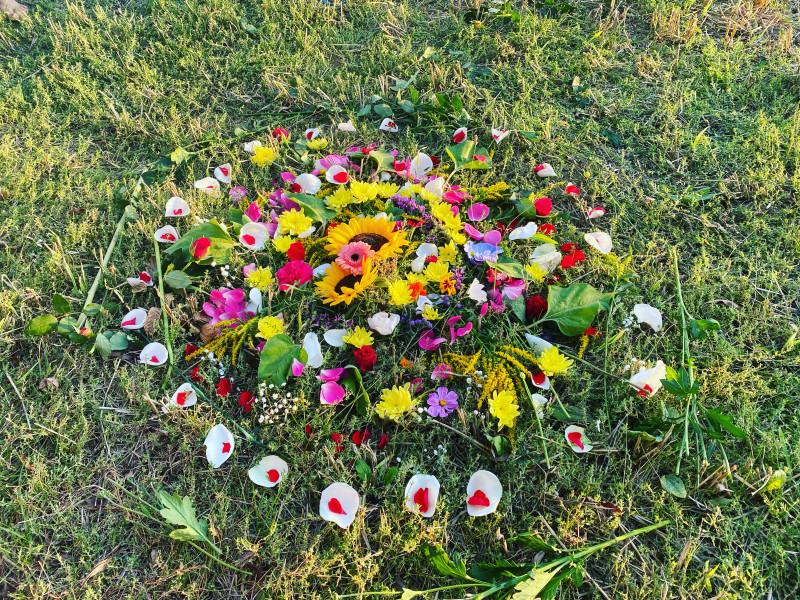 Women Circle | Spring Equinox | with CACAO  - Cacao Ceremony, Women's Circles, Healing