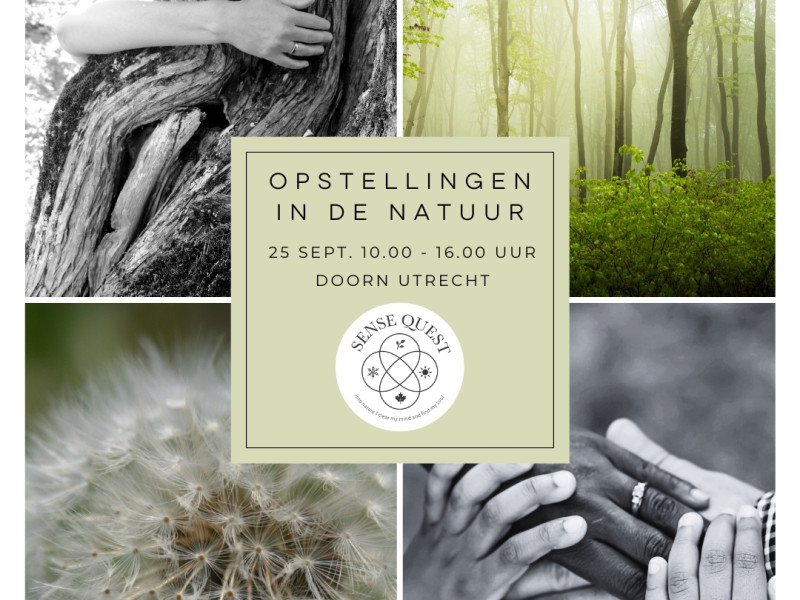 Sense Quest opstellingen in de natuur