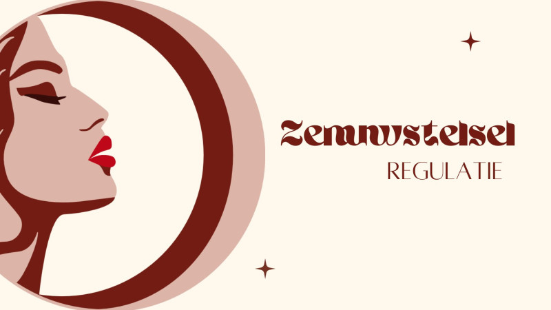 Zenuwstelselregulatie en Somatisch werk
