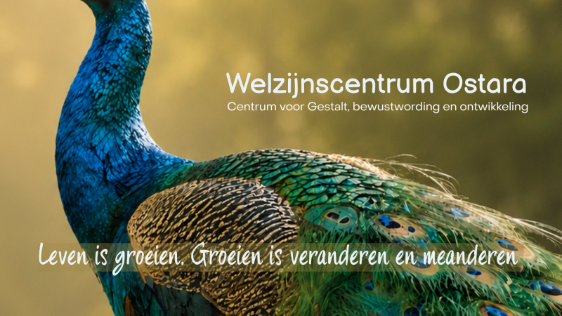 Gestalt jaartraining voor professionals