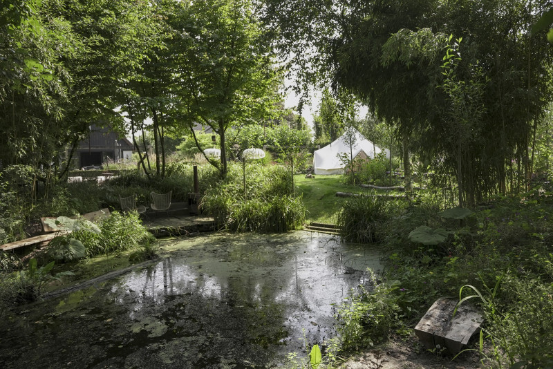 Coming Back Home | An Intimate Therapeutic Psil@cyb!n Retreat in NL
