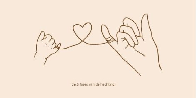De 6 fases van de hechting en het babybrein