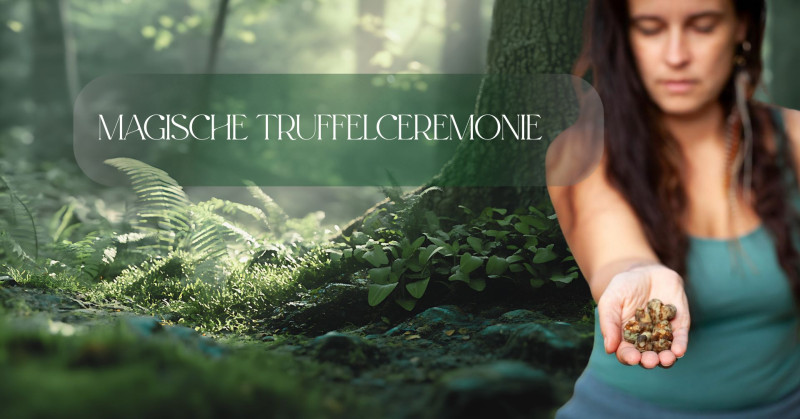 Magische Truffelceremonie ⭐️ - Ceremonia de trufa, Medicina de plantas