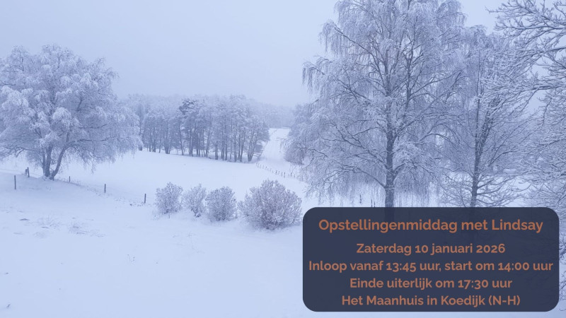 Opstellingenmiddag met Lindsay - Constellations familiales, Travail énergétique, Travail systémique