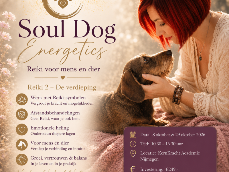 Soul Dog Energetics l Reiki 2 voor mens en dier