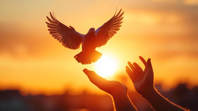 1:1 INTUITIVE ENERGY HEALING-READING SESSION (In-Person/on Distance) - Energiewerk, Healing, Reiki
