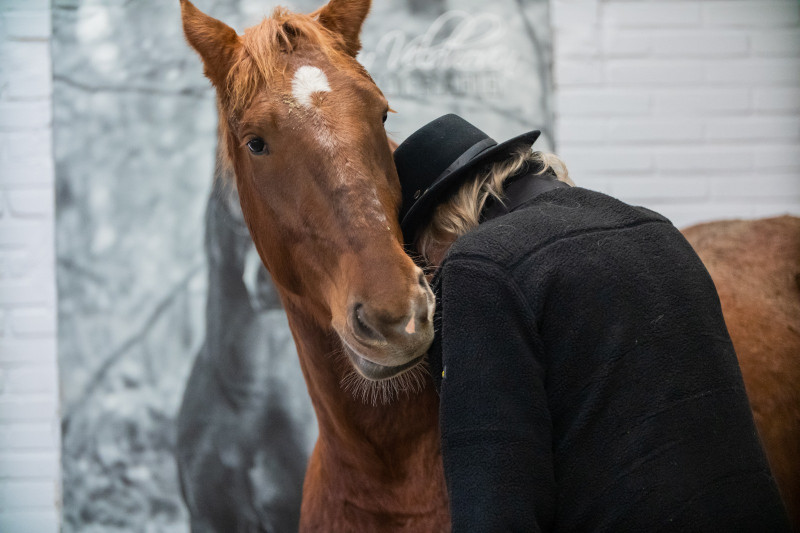 Proeverij Paardencoaching