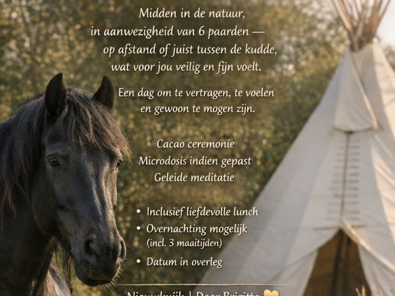 Geheel voor jou 1-op-1 Paardenretraite.