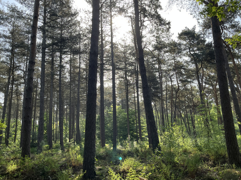 Stiltedag Klooster Mariadal (mindfulness)