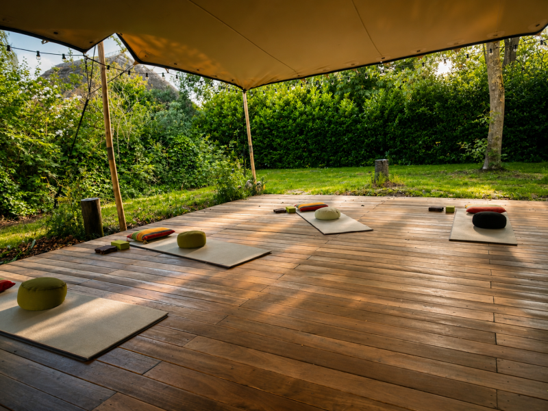 Yin Yoga in de natuur | Ontspannen tussen de Rucphense Bossen🌿