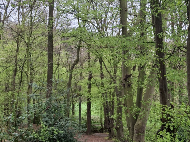 Dwalende dinsdag - Mini retraite dans la nature, Retraite silencieuse