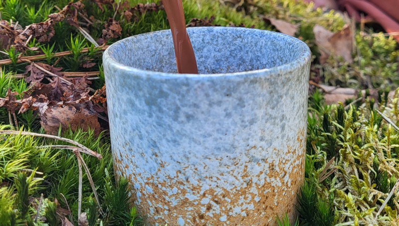 Shinrin-Yoku met Cacao & Klankreis