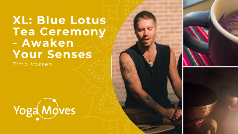 XL: Blue Lotus Tea Ceremony - Awaken Your Senses