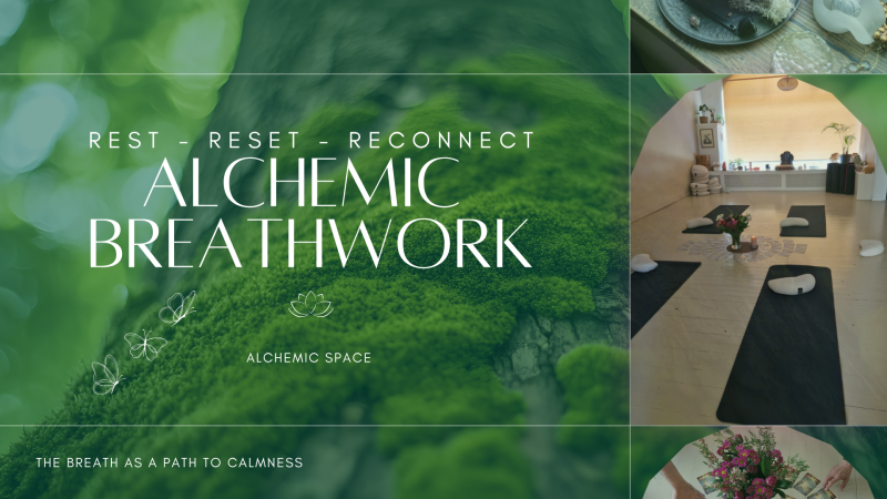 Breathwork Experience - TERRA -