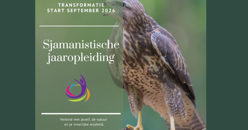 De Vlucht van de Buizerd