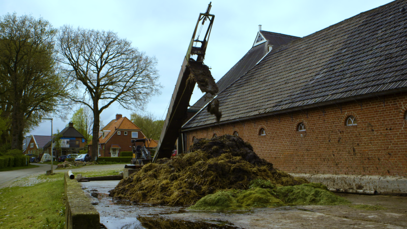Filmvertoning “De laatste mestbult” Boekelo - Film