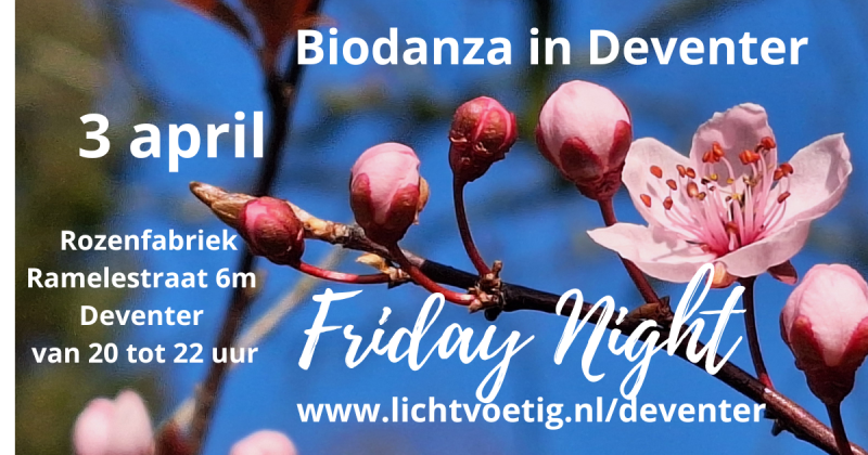 Friday Night biodanza in Deventer