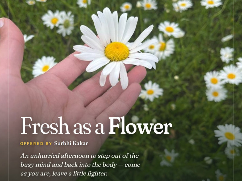 Mindfulness Workshop - Fresh as a Flower