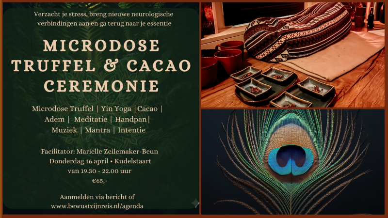 VOL | Microdose Truffel Ceremonie