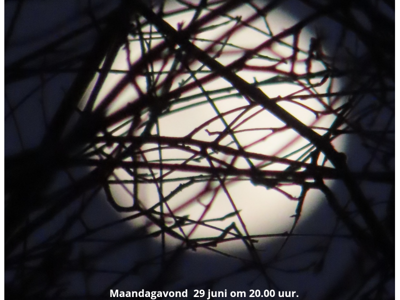 Volle maan wandeling - Naturaleza, Senderismo, Luna llena